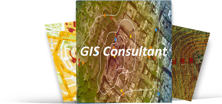 GIS Consultant