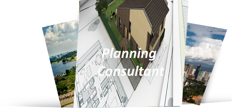 Planning Consultant
